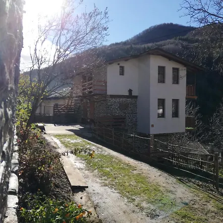 Elena Kosovo