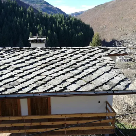 Elena Guest house 2*
