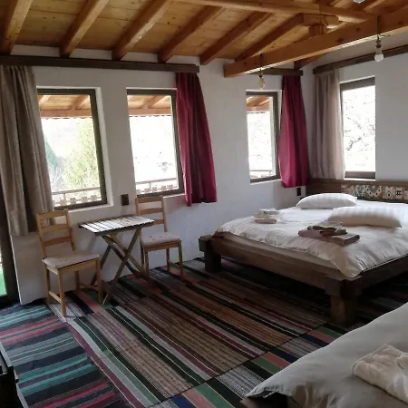 Guest house Elena 2*