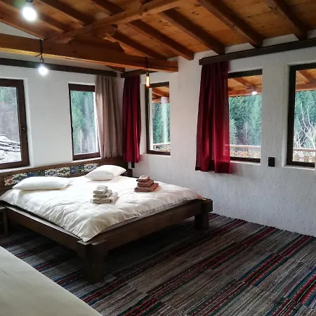 Elena Guest house