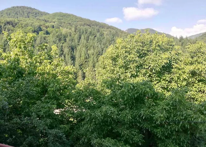 Vendégház Elena 2*