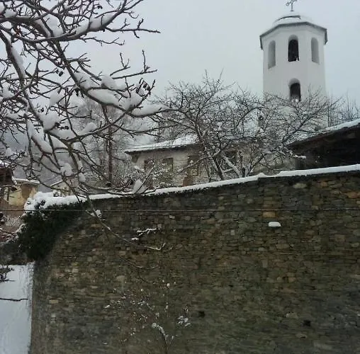 Elena Guest house 2*