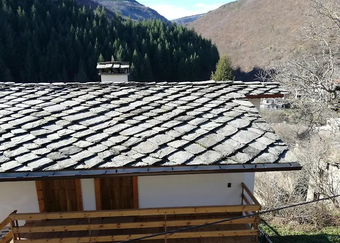 Elena Guest house 2*